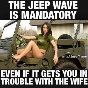 Jeep Wave.jpg