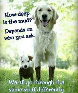 How deep is the Mud.jpg