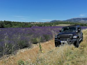 Provence 7-21.jpg